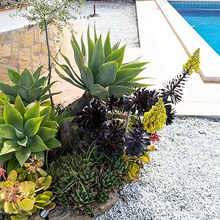 Vakantiehuis Casa Lantana: With Private Pool
